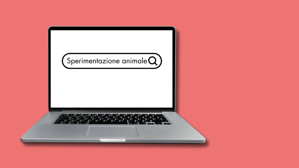 Computer con barra di ricerca sperimentazione animale